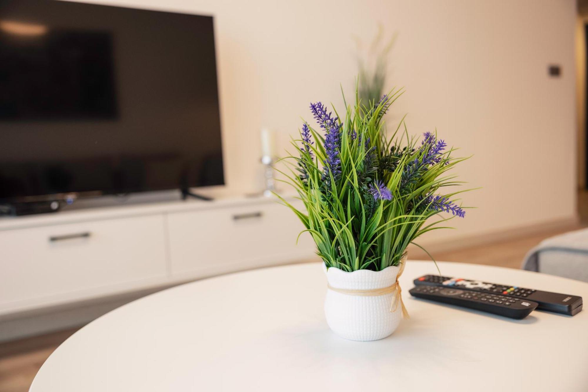 33Rd Floor Twin Apartments In Cevahir Sky City Complex With Pool, Spa, Fitness And Parking Included In Price Skopje Extérieur photo